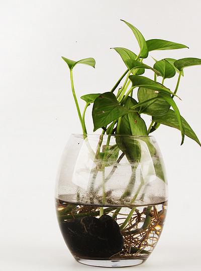 Warmly celebrate the official website of Xiamen Dejia Electronic Technology Co., Ltd.